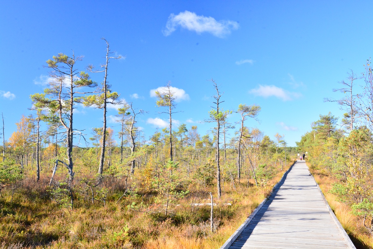 Behindertengerechte Wege